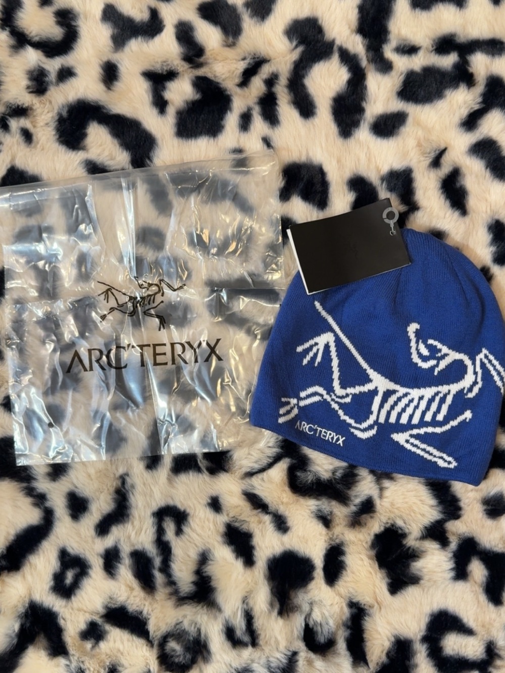 Arc'teryx Royal Blue and White Skeletal Logo Beanie
